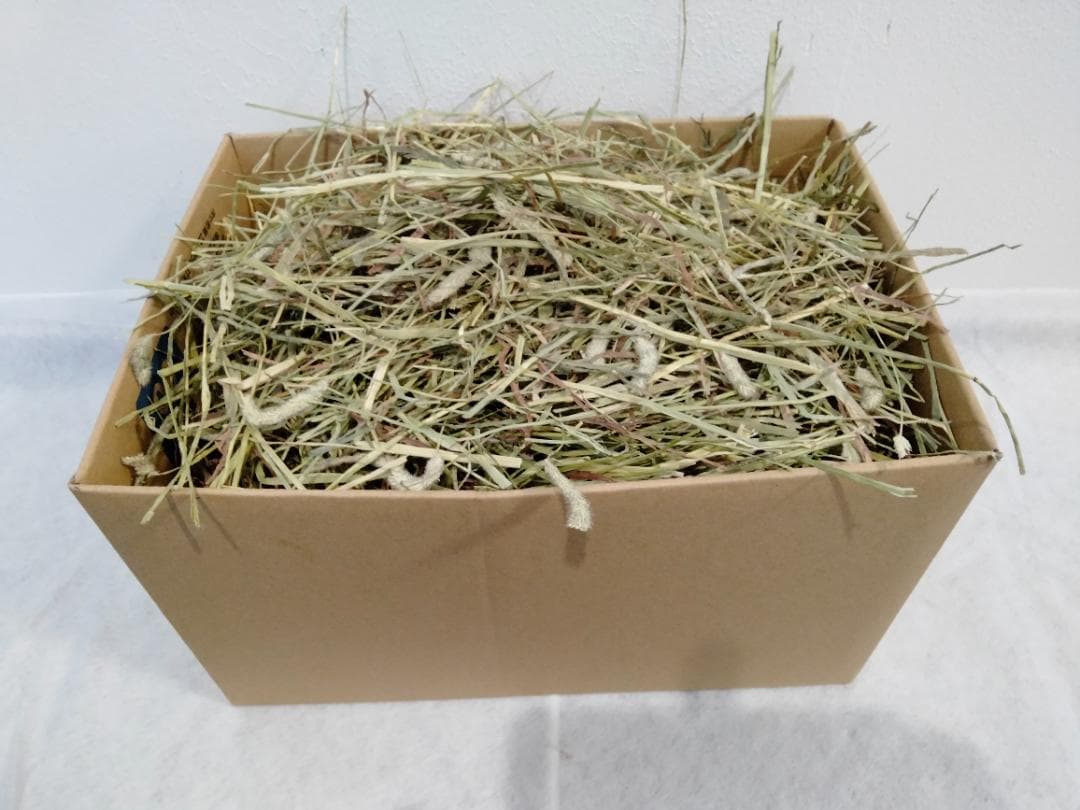 【処分価格】US産 チモシー 75kg ２番刈 ソフトSプレミアム