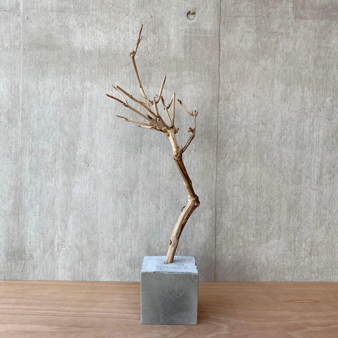 【コンクリート盆栽 流木オブジェ】ディスプレイ アート インテリア 鍵 爬虫類