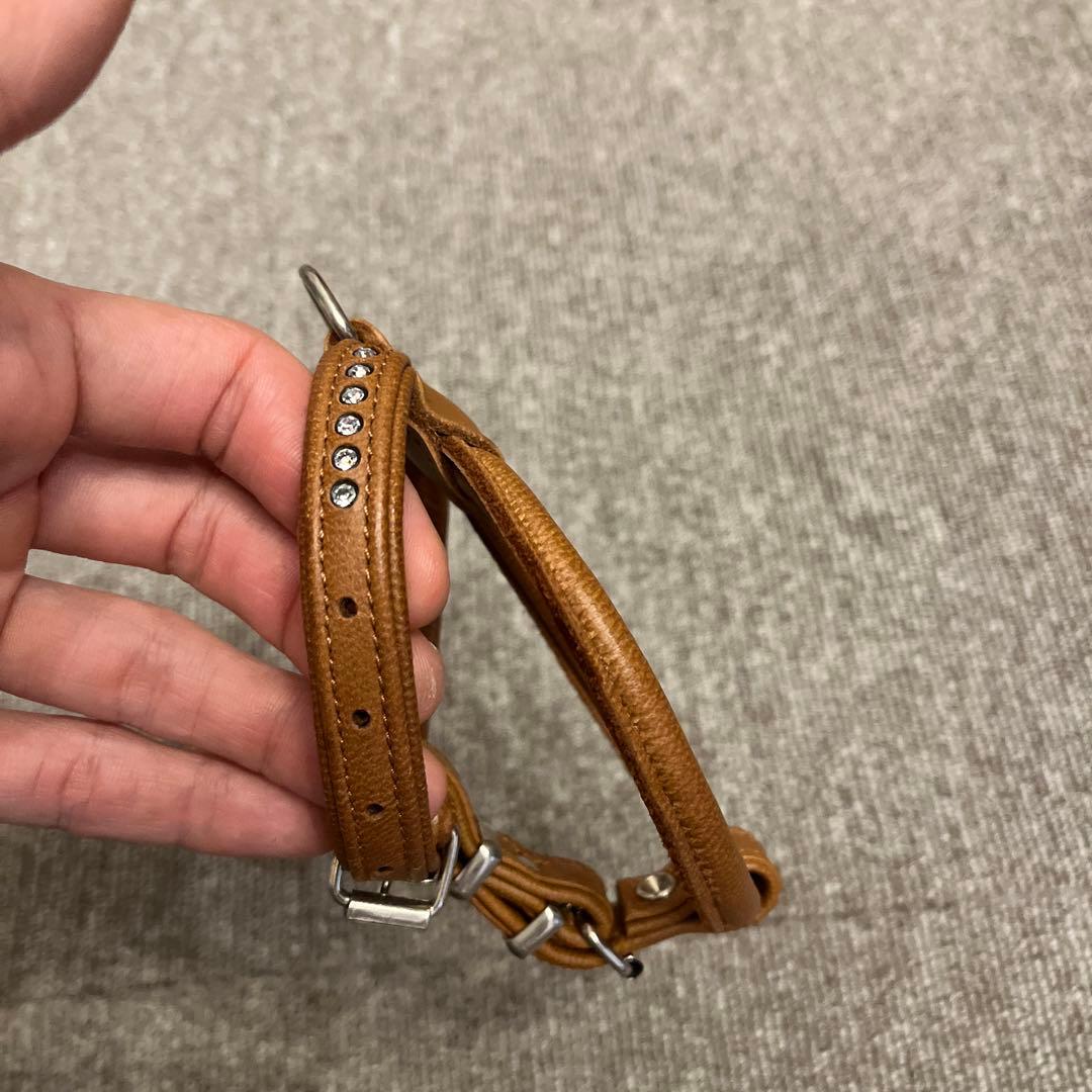 Hunter キラキラスワロフスキー付き　首輪　リード　ハーネスセット