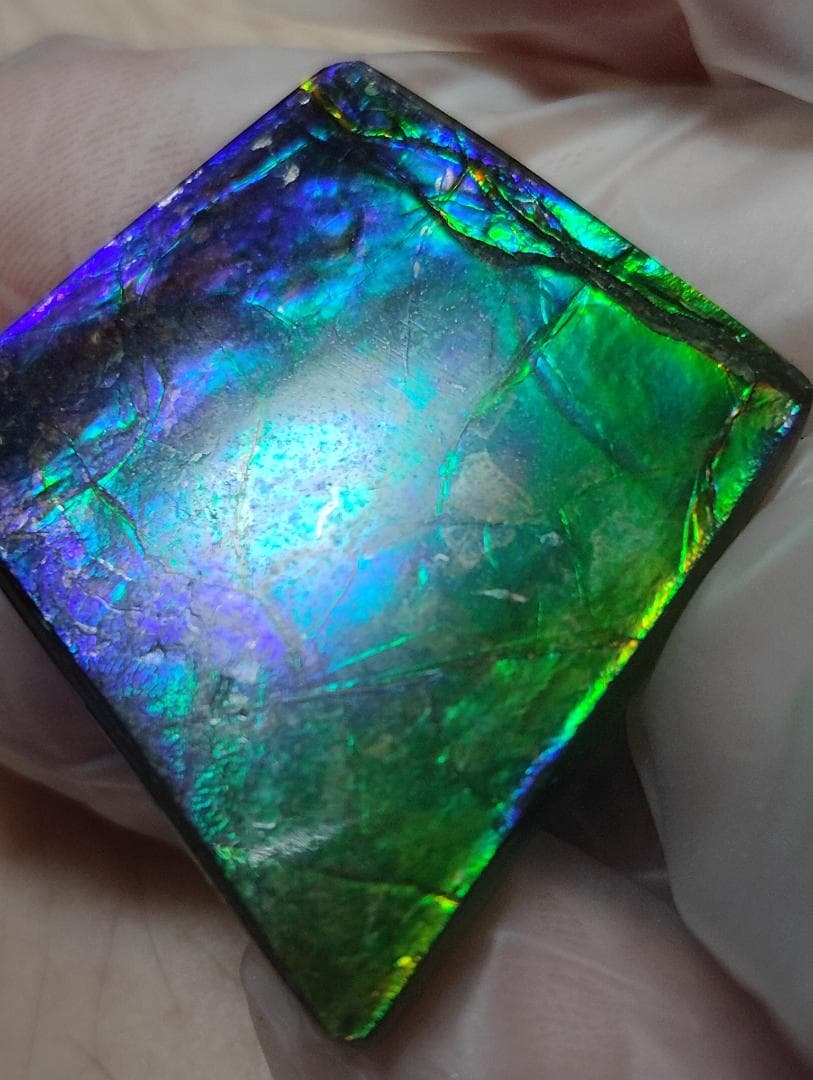 アンモライト　ルース　24-0743 37500