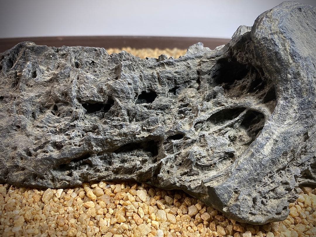 4222 佐治川石《希少》 水石 盆栽 盆石 置物 鑑賞石