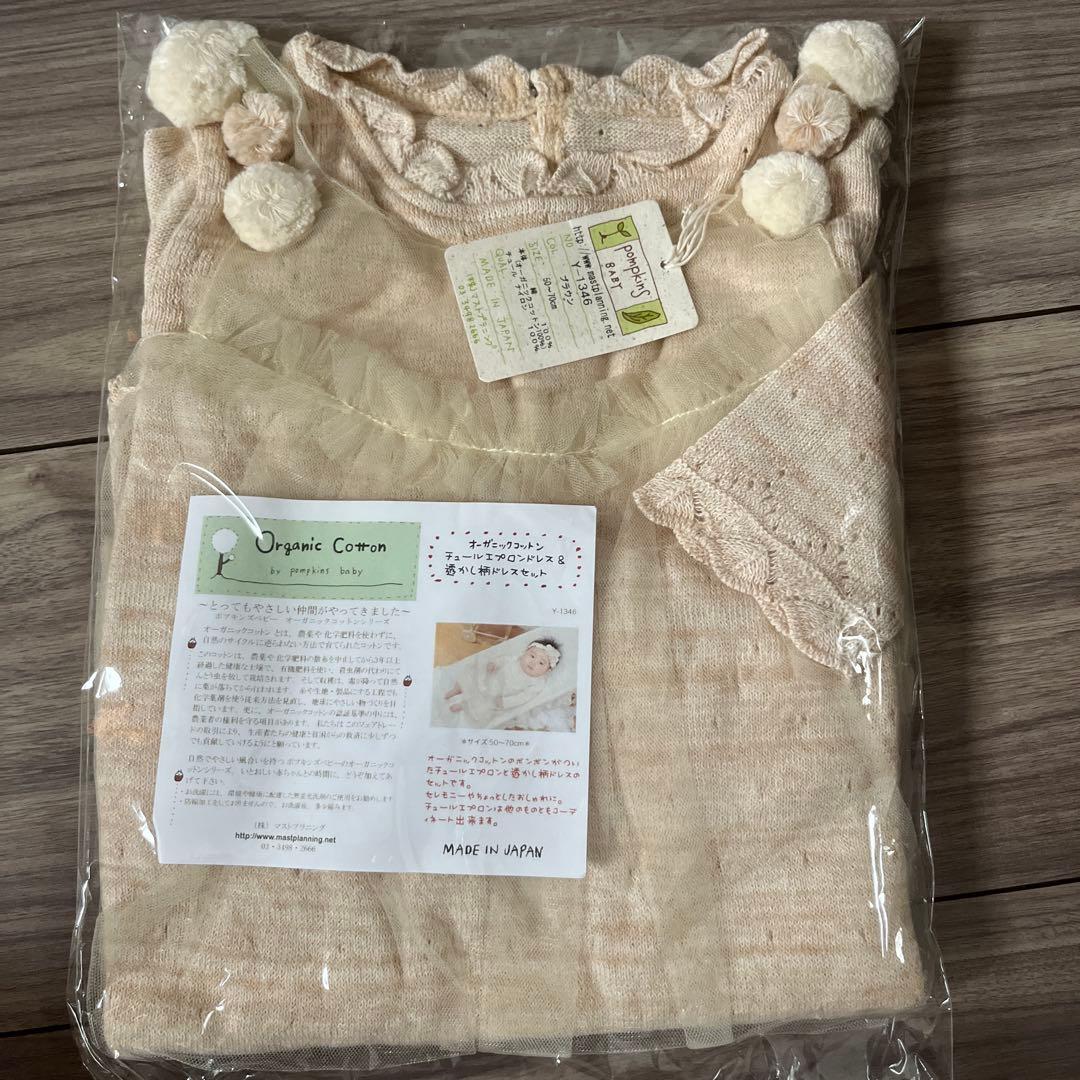 てんとうむし6点セット