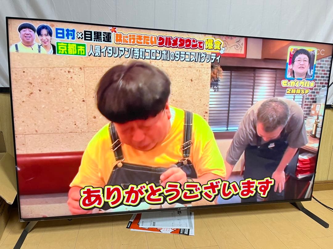 ☆SONY ソニー 4K液晶テレビ XRJ-65X95J 2023年製