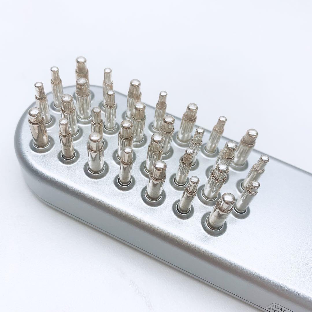 《付属品完備⭐️ほぼ未使用》 サロニア EMS リフトブラシ