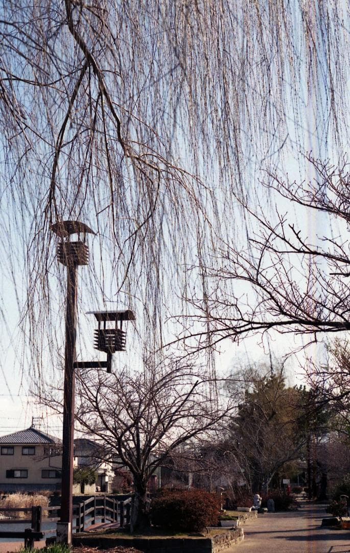 【試写確認済み】キャノン Canon FTb QL　50㎜F1.8