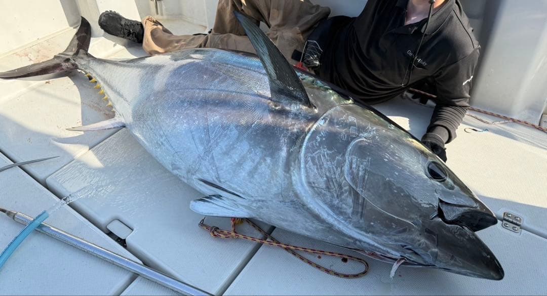 ルアーキラー ゲームロッド 新品未使用 マグロ クエにお勧め！！