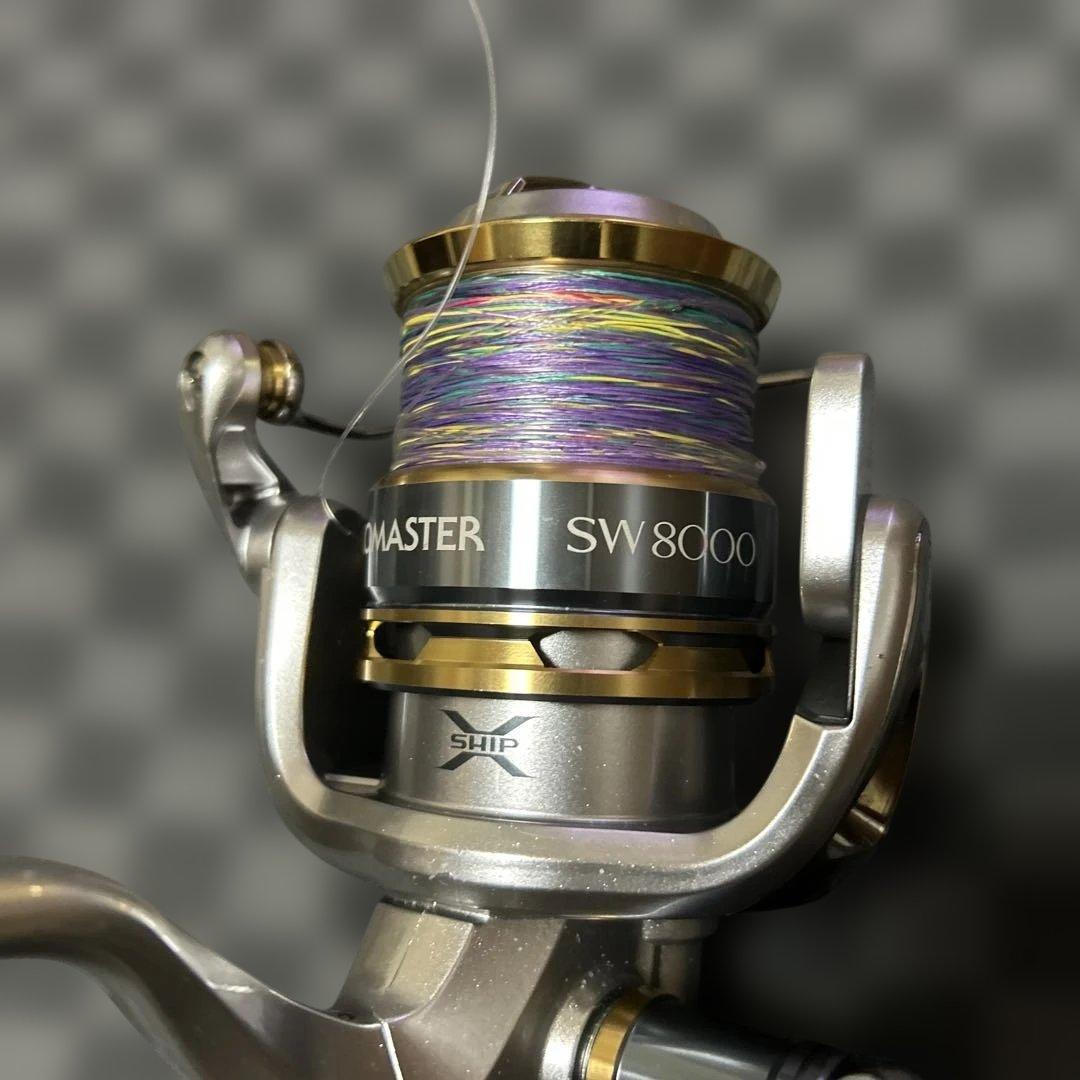 バイオマスター　 SW8000 スピニングリール