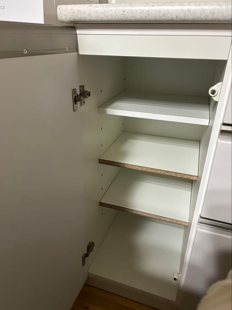 専用カズマ