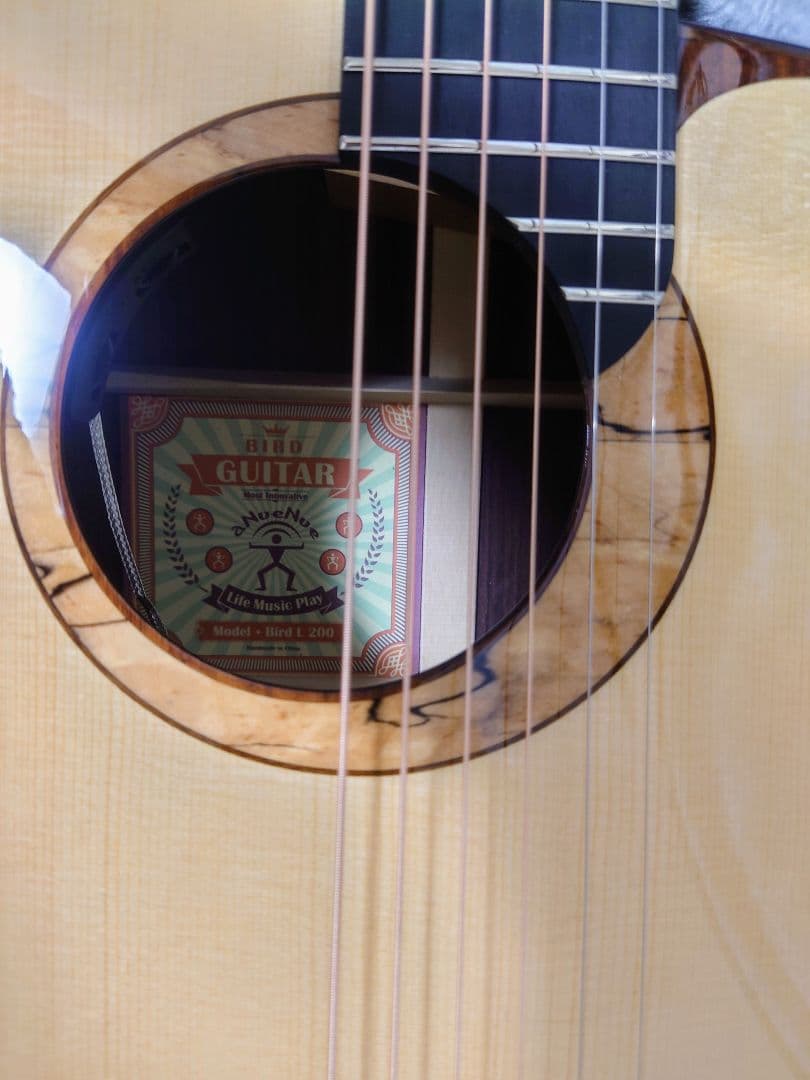 ☆aNueNue aNN-L200E 杉田健司デザイン 新品同様品 エレアコ☆