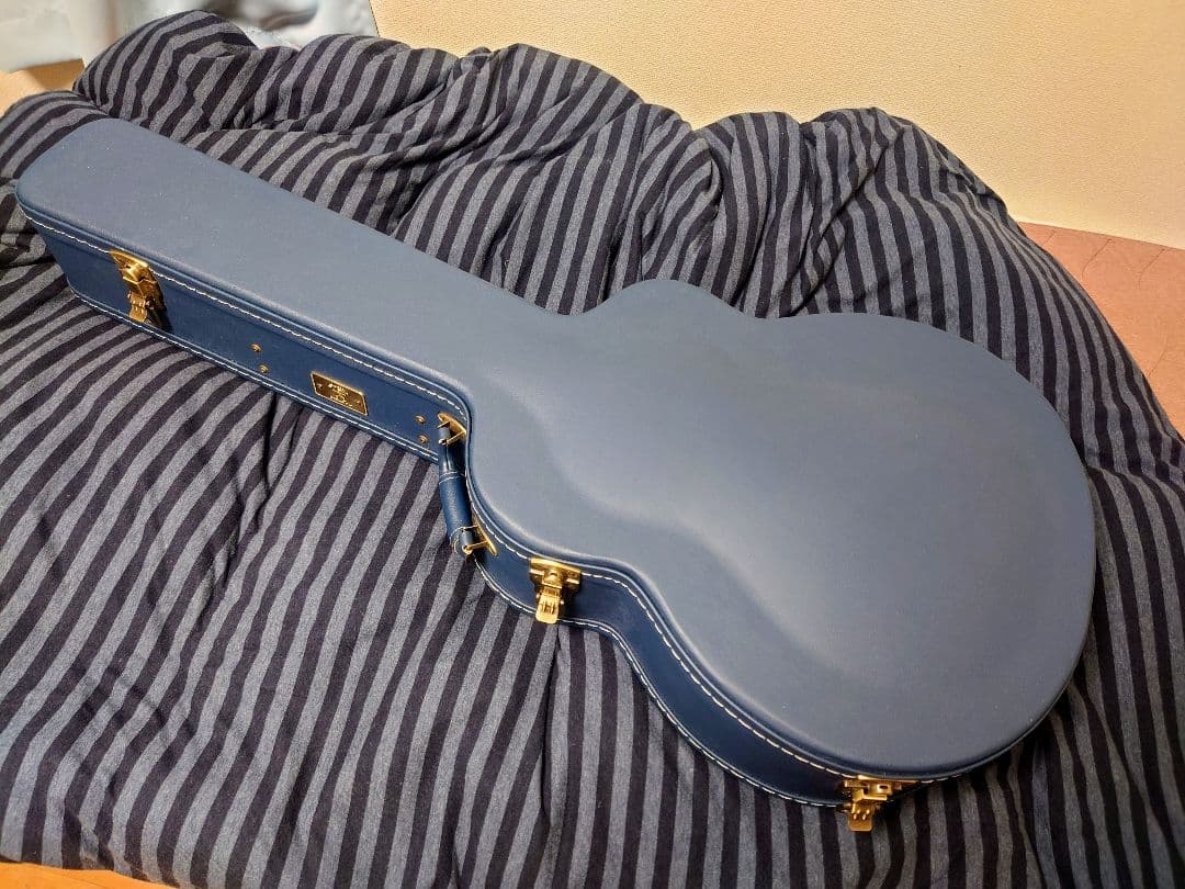 ☆aNueNue aNN-L200E 杉田健司デザイン 新品同様品 エレアコ☆