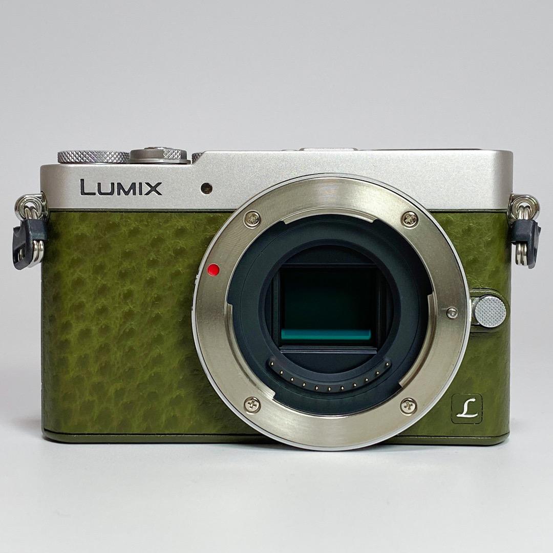 【美品】Lumix GM5 緑 Body / COTTA製サムレスト等 他付属