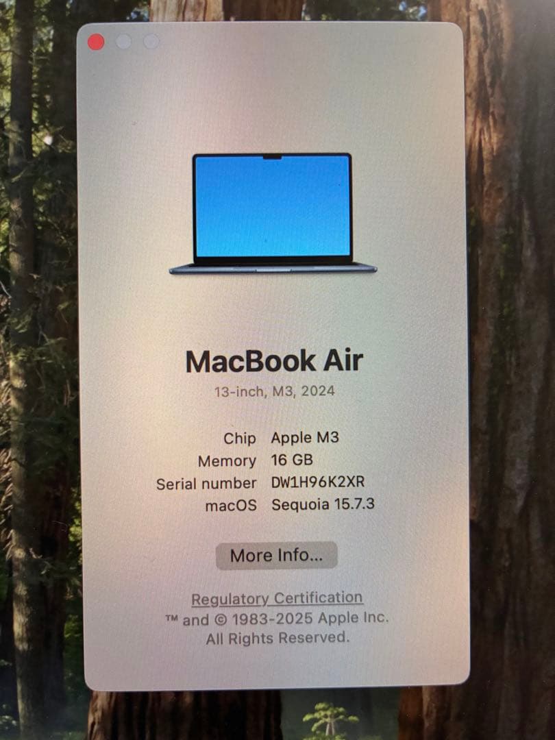 Apple MacBook Air 13インチ M3 16GB 256GB