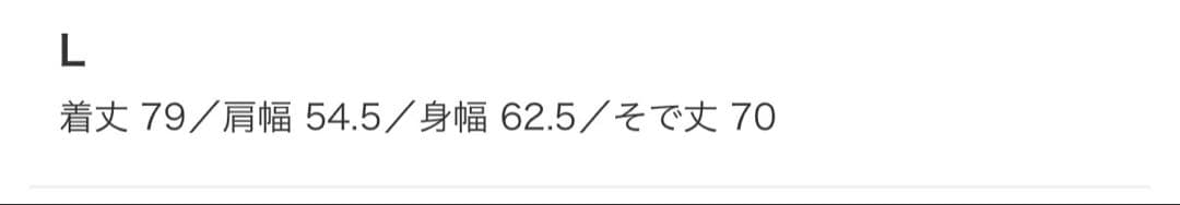 Arc'teryx✖️BEAMS限定 Beta SL Jacket