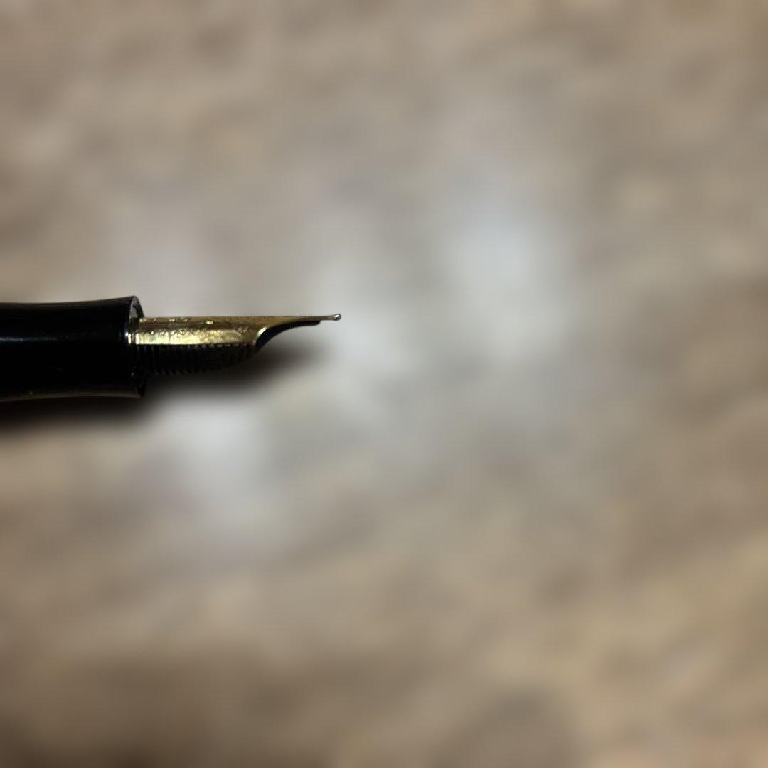 モンブラン作家シリーズ ドストエフスキー万年筆 Mニブ