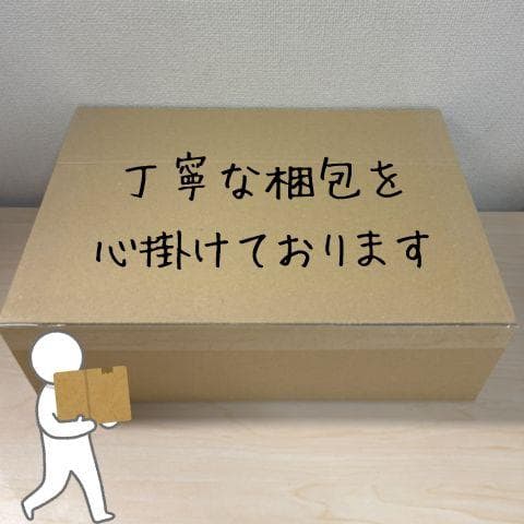 ELECAENTA ポータブル電源 99Wh 小型 リン酸鉄 軽量1.5Kg p