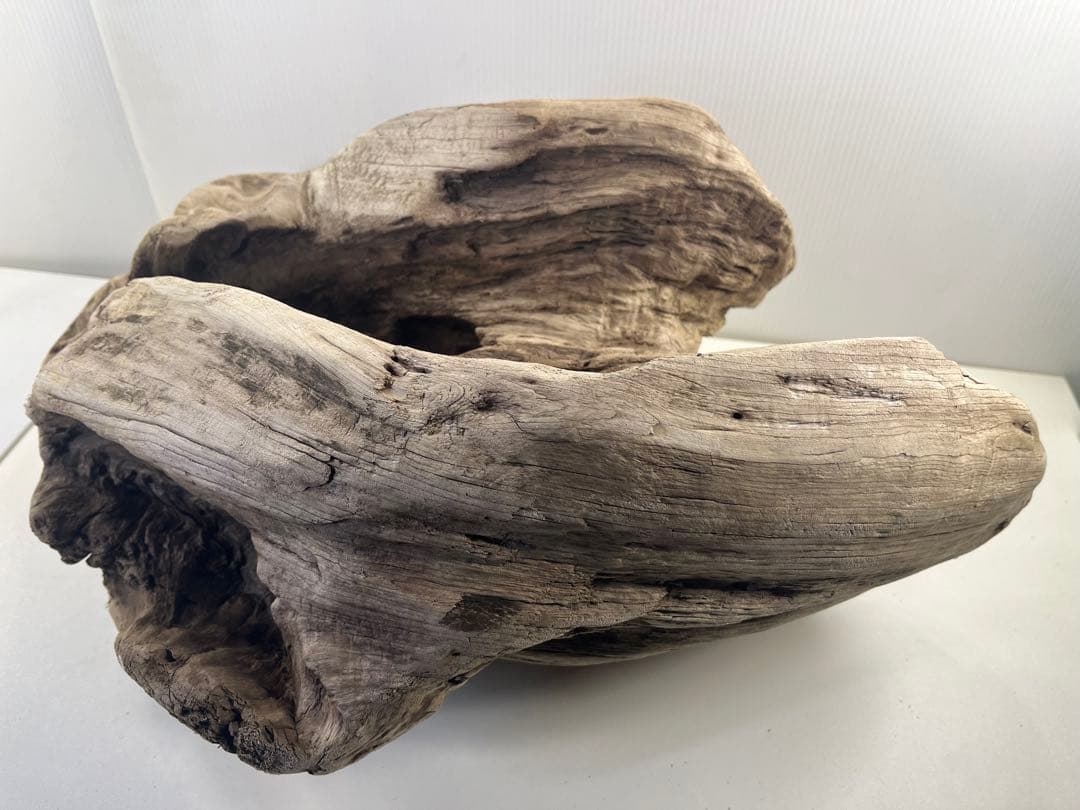 m6大型流木 アク抜き済み 爬虫類シェルター レイアウト用 オブジェ インテリア