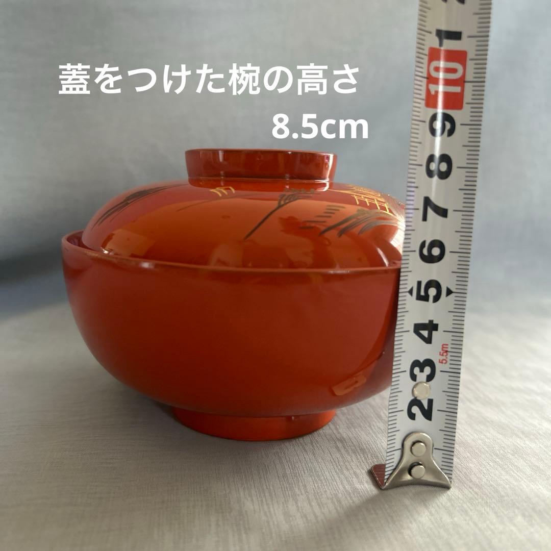 お値下げ中 漆器椀 遠州丸洗朱10セット
