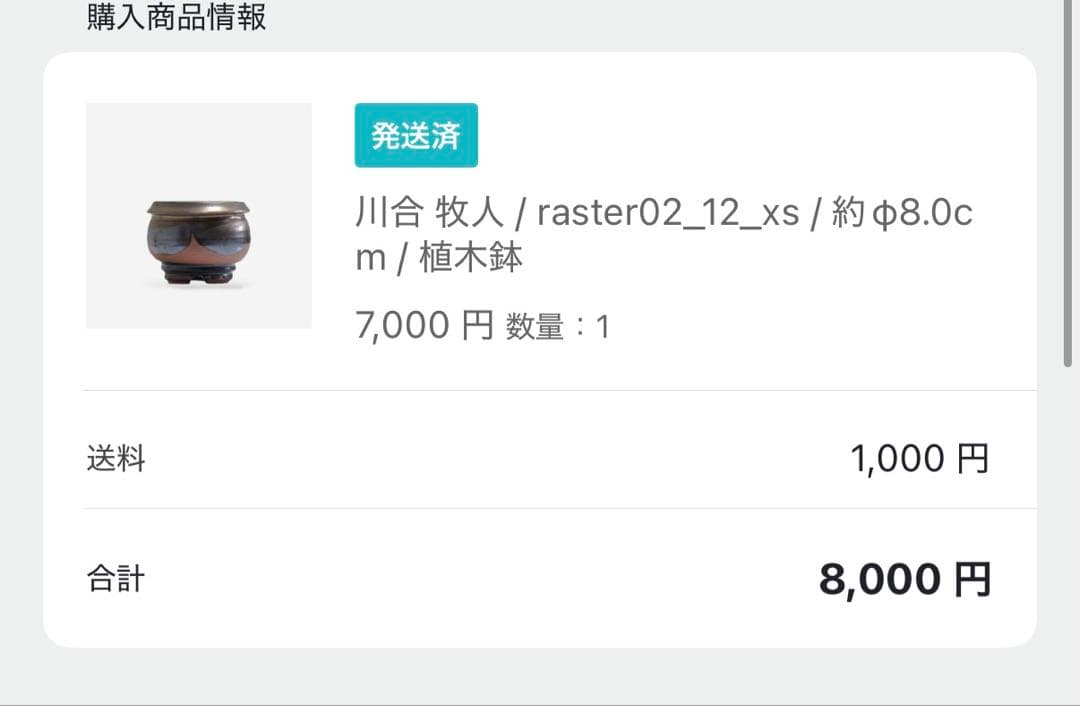 グラキリス　現地球　4年目