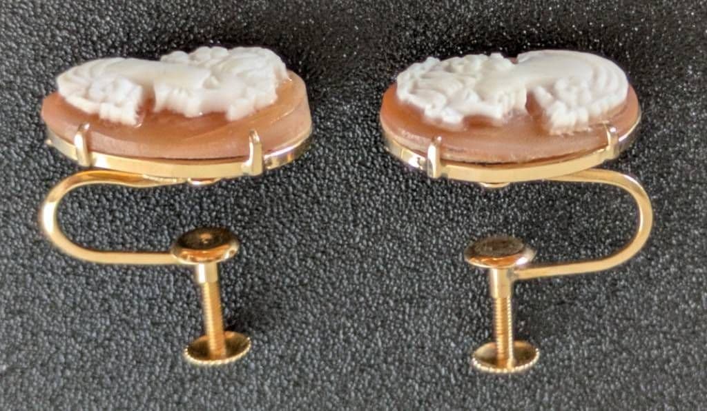 800刻印 カメオブローチ SILVER/PAT.P K18 カメオイヤリング