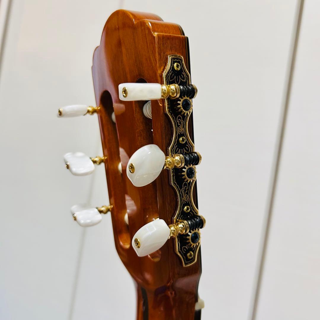 【希少】アコースティック ギター アリア A-100F ハードケース付