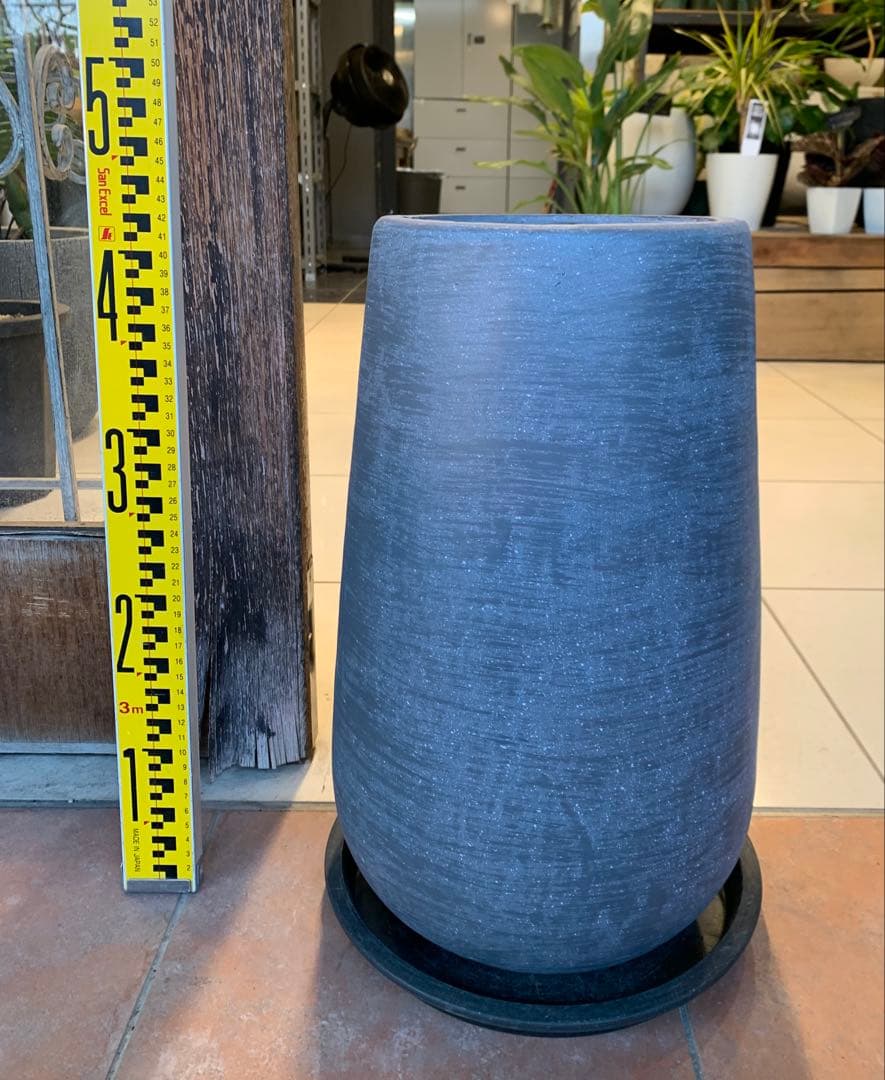 専用　鉢変更（12枚目）ストレリチア レギネ ファイバー鉢 お皿付き