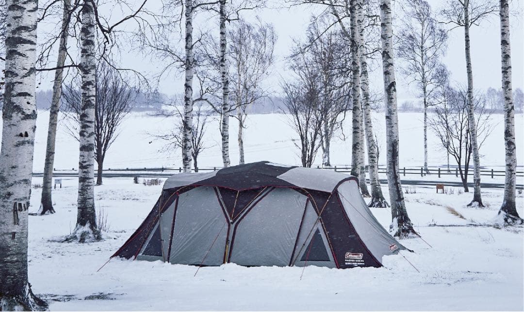 ①極美品　Coleman 4Sワイド2ルーム　コクーンIII コールマン