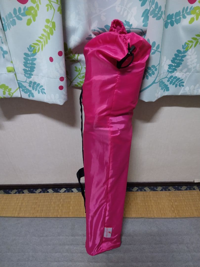 非売品　ロゴス　アウトドアチェア　2脚　東京ディズニーリゾート　30周年　限定品