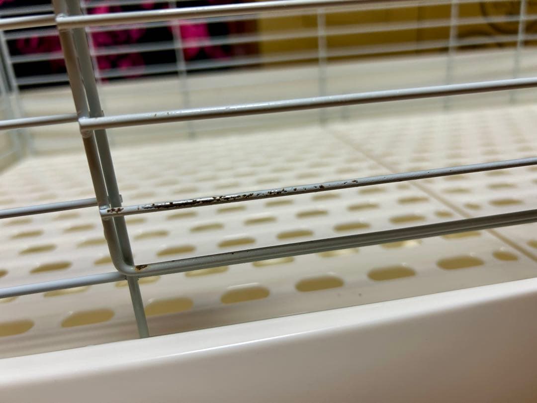 三晃商会 SANKO C62 イージーホーム エボ EVO 80 白 WH