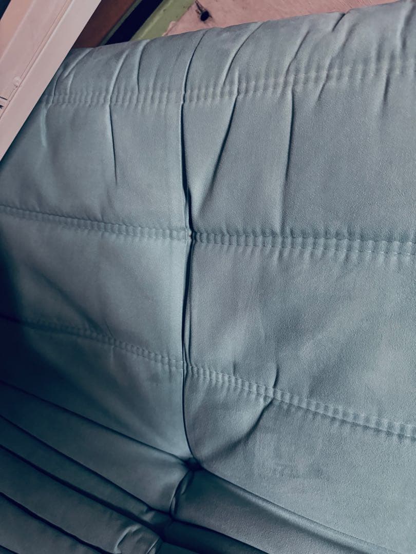 リーンロゼ トーゴ 2P ソファ 2人掛け ligne roset