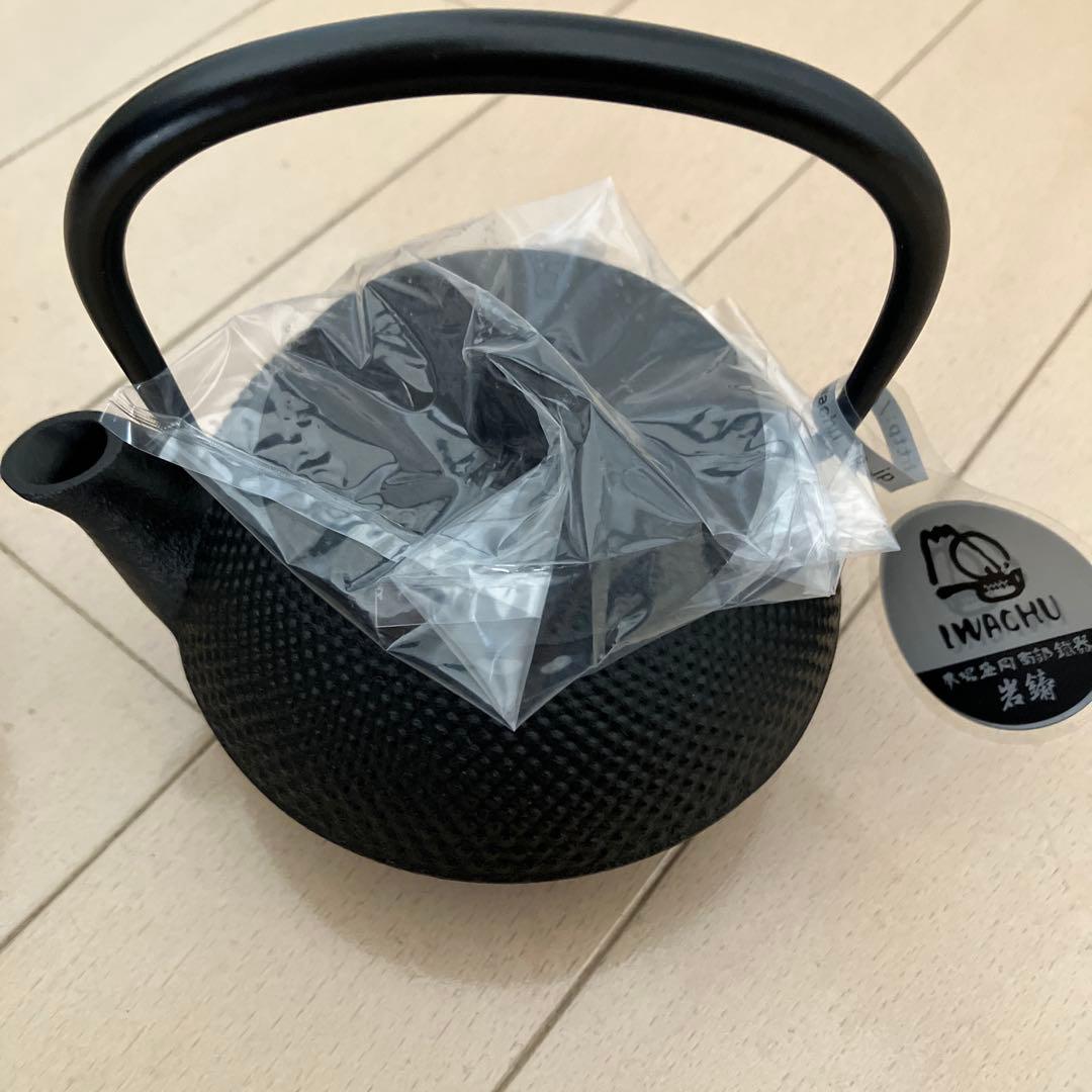 岩鋳　鉄瓶兼用急須　3型　アラレ