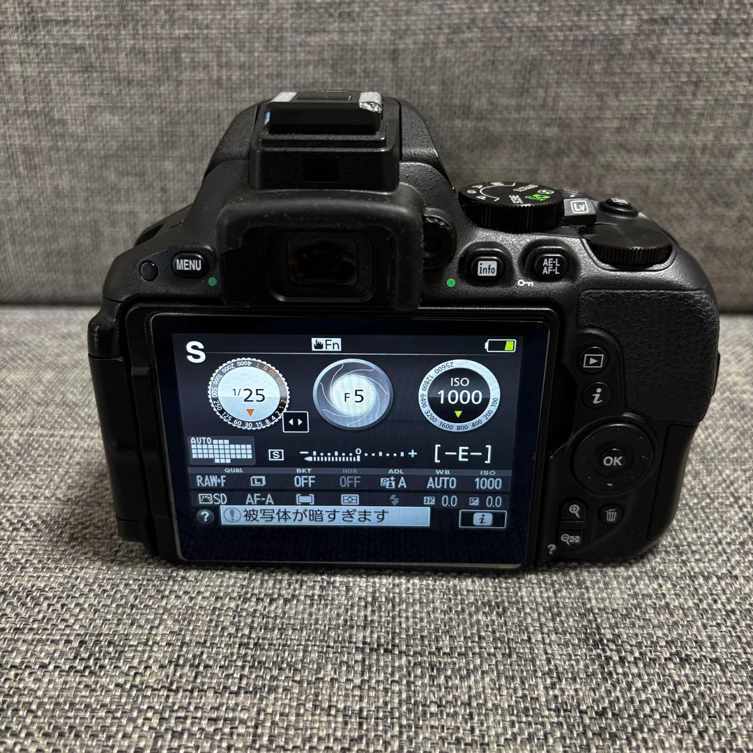 Nikon D5500 レンズ＋おまけ付き