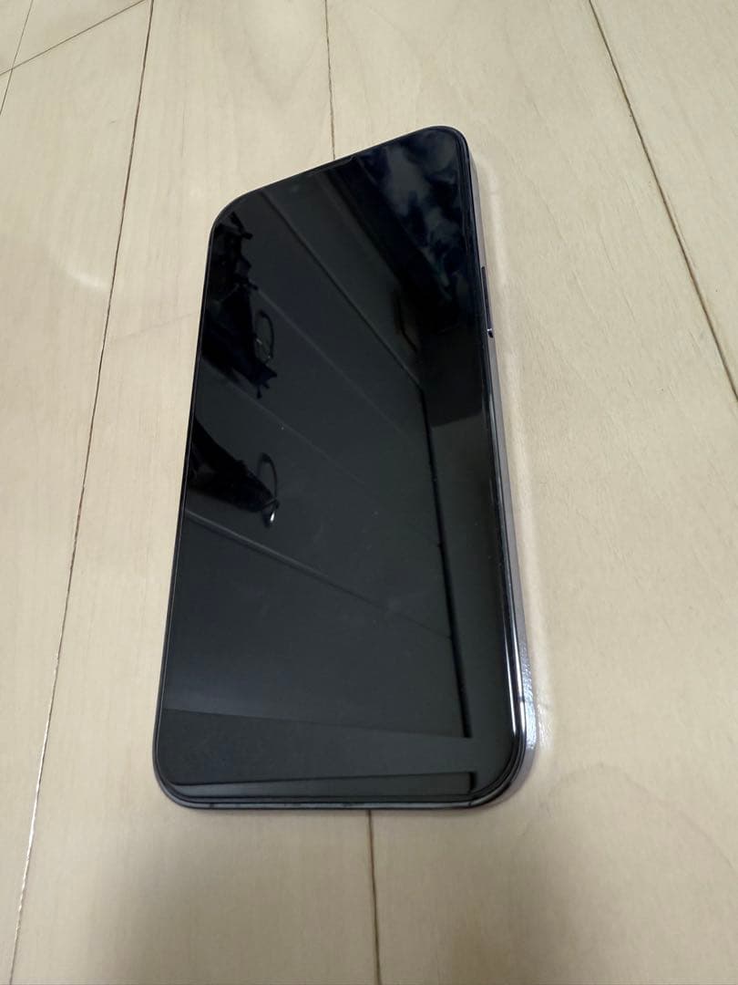 iPhone 13 Pro シエラブルー　256GB
