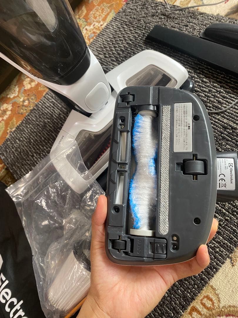 Electrolux Ergorapido Bed Pro 本体