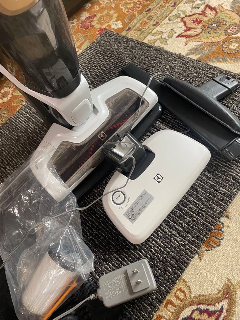 Electrolux Ergorapido Bed Pro 本体