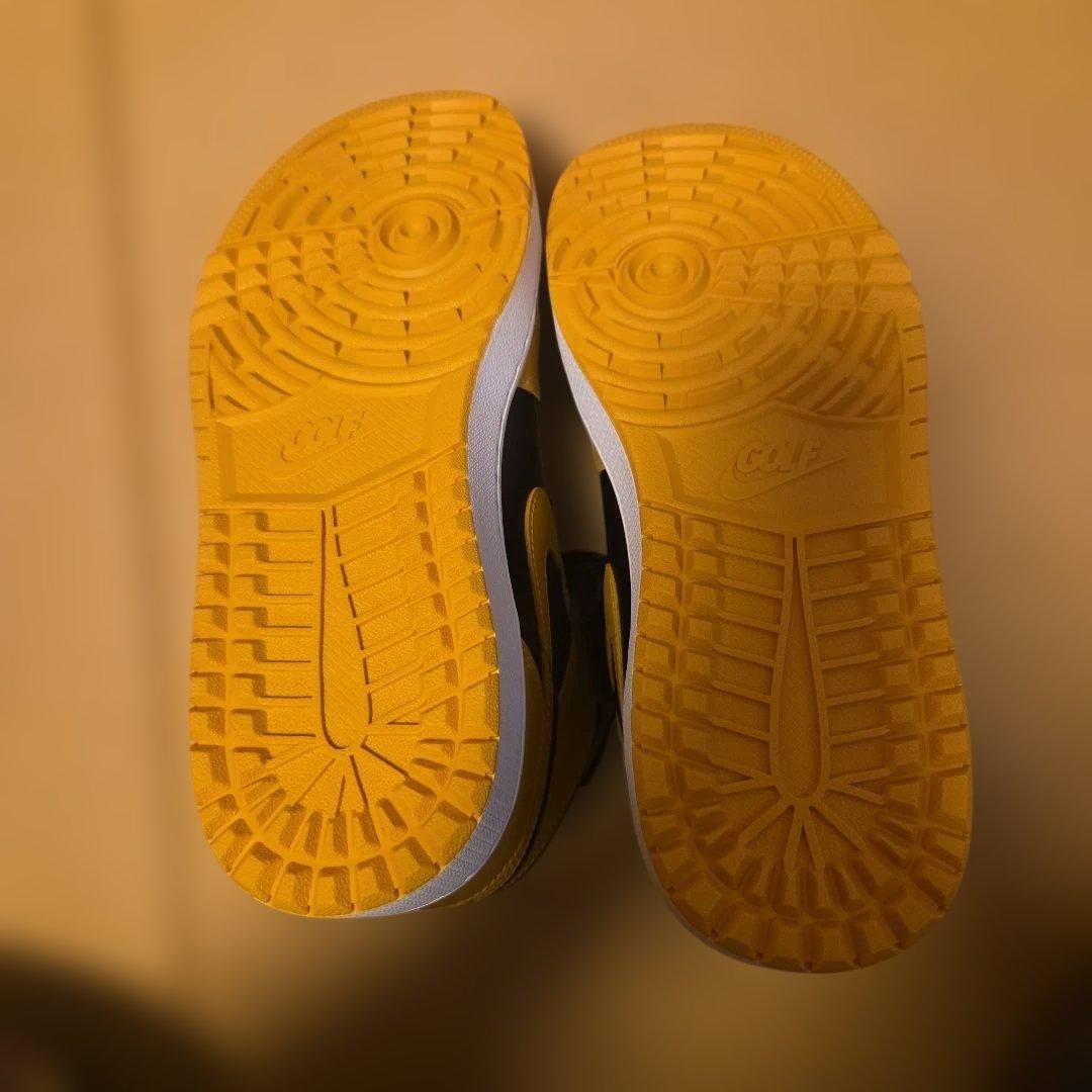 新品未使用　27cm　Jordan Golf シューズ