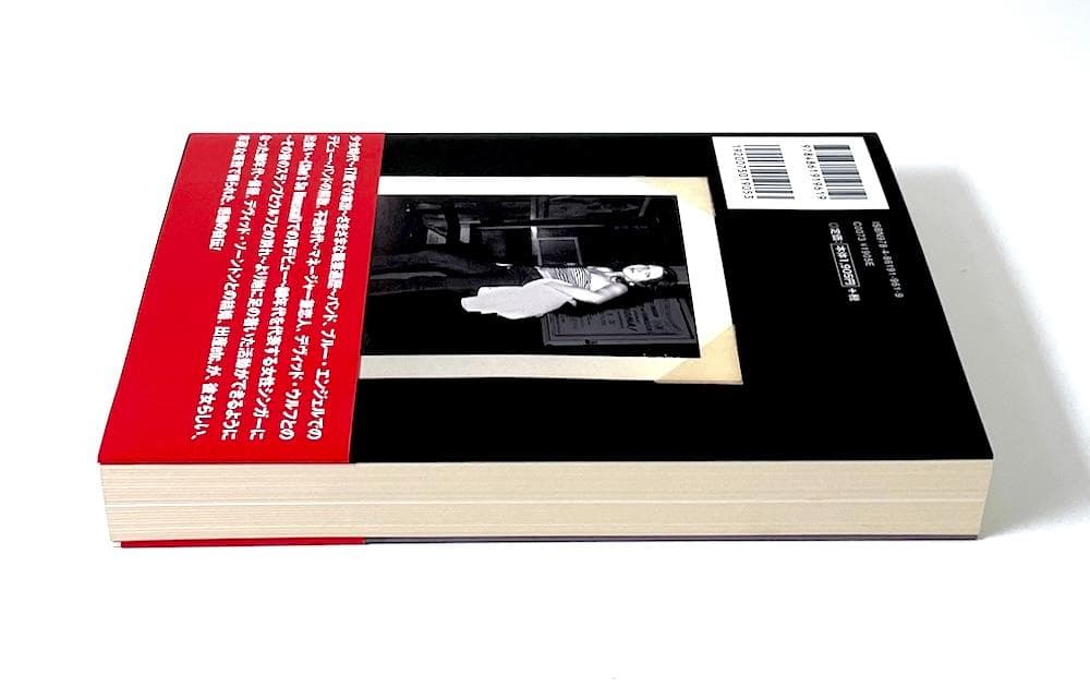 絶版 初版本 帯付き トゥルー・カラーズ シンディ・ローパー自伝