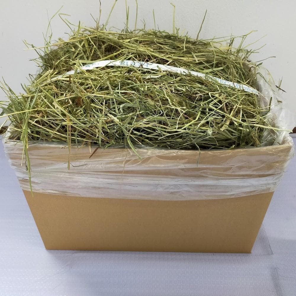 【処分価格】US産 チモシー 50kg ２番刈 ソフトSプレミアム