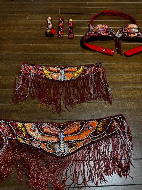 ベリーダンス ISIS YO Belly Dance Costume
