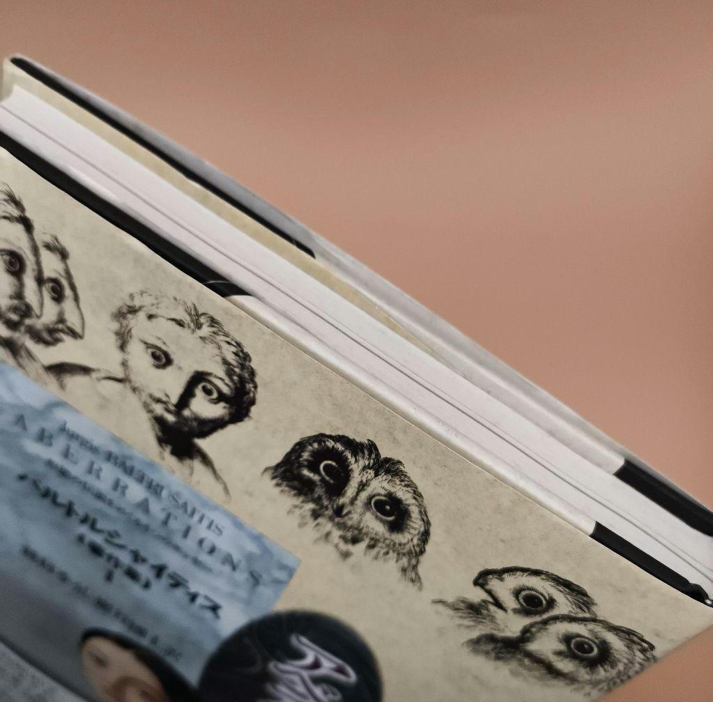 バルトルシャイティス著作集 全4巻