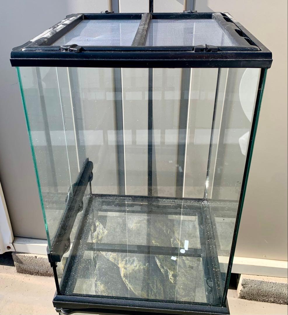 専用です　グラステラリウム　3045 エキゾテラ　仮組み　生体未使用品