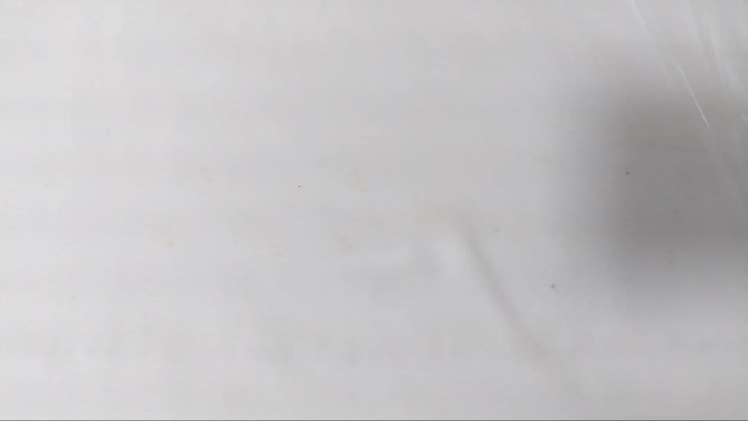 そいねーる3　ベッドフレーム（専用マットレス付き）