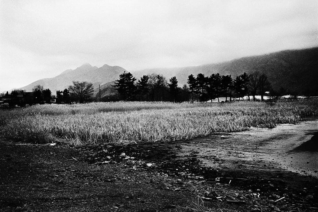 レンズ(単焦点) 1975 Leica 35mm f2 Summicron v3