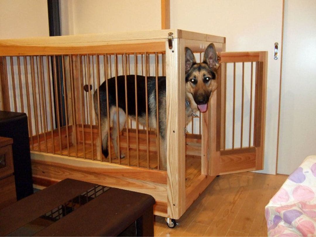 大型犬