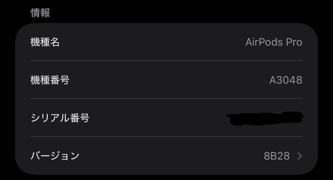 Apple AirPods Pro (第2世代) 本体