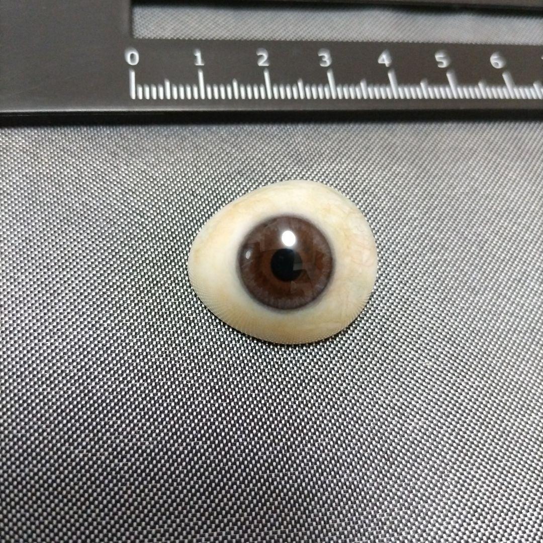 義眼　日本製　（KG）