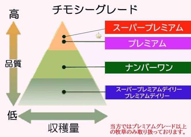 【5/31まで】 カナダ産 チモシー 50kg スーパープレミアム １番刈り
