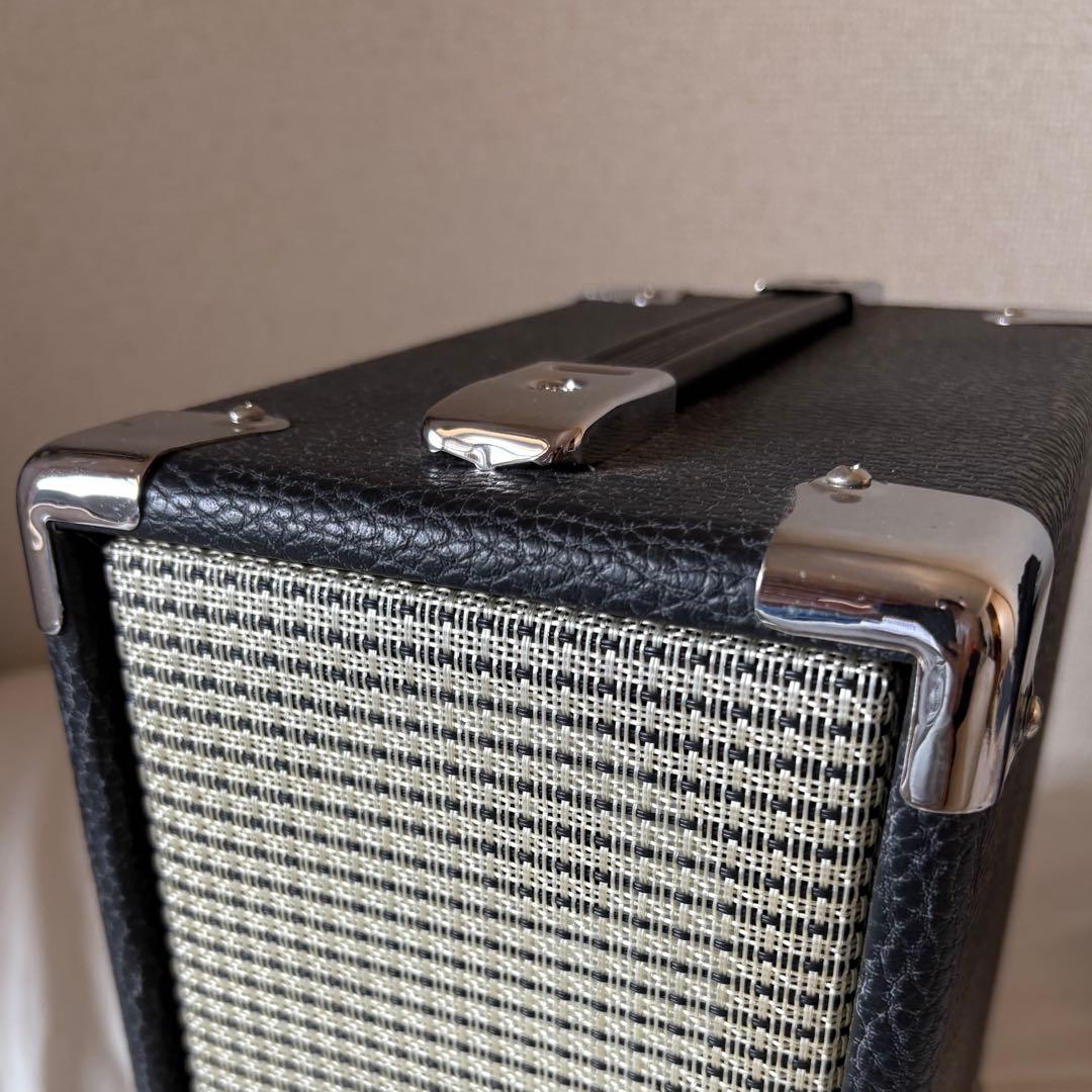 AAD by Phil Jones CUB AG-100 ギターアンプ