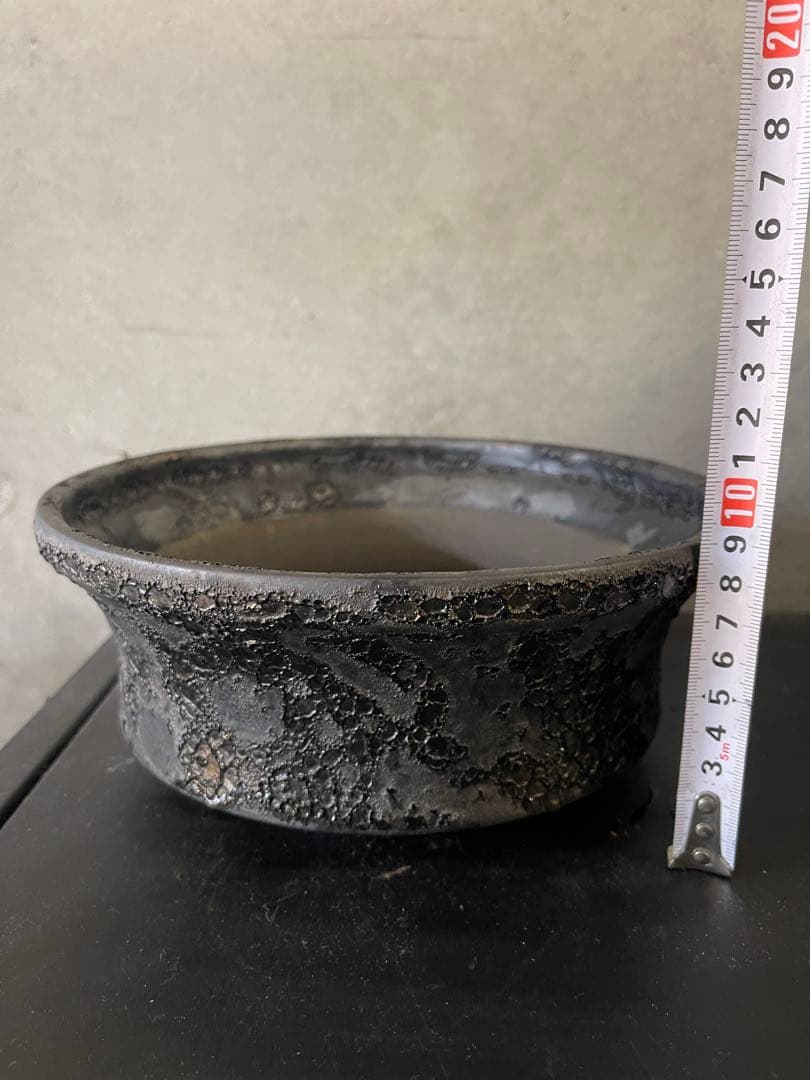 中川智治　植木鉢　大鉢　作家鉢
