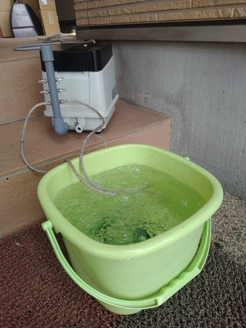 【安永(EP-80E-L)80L】816 　エアポンプ 　ブロワ 　浄化槽