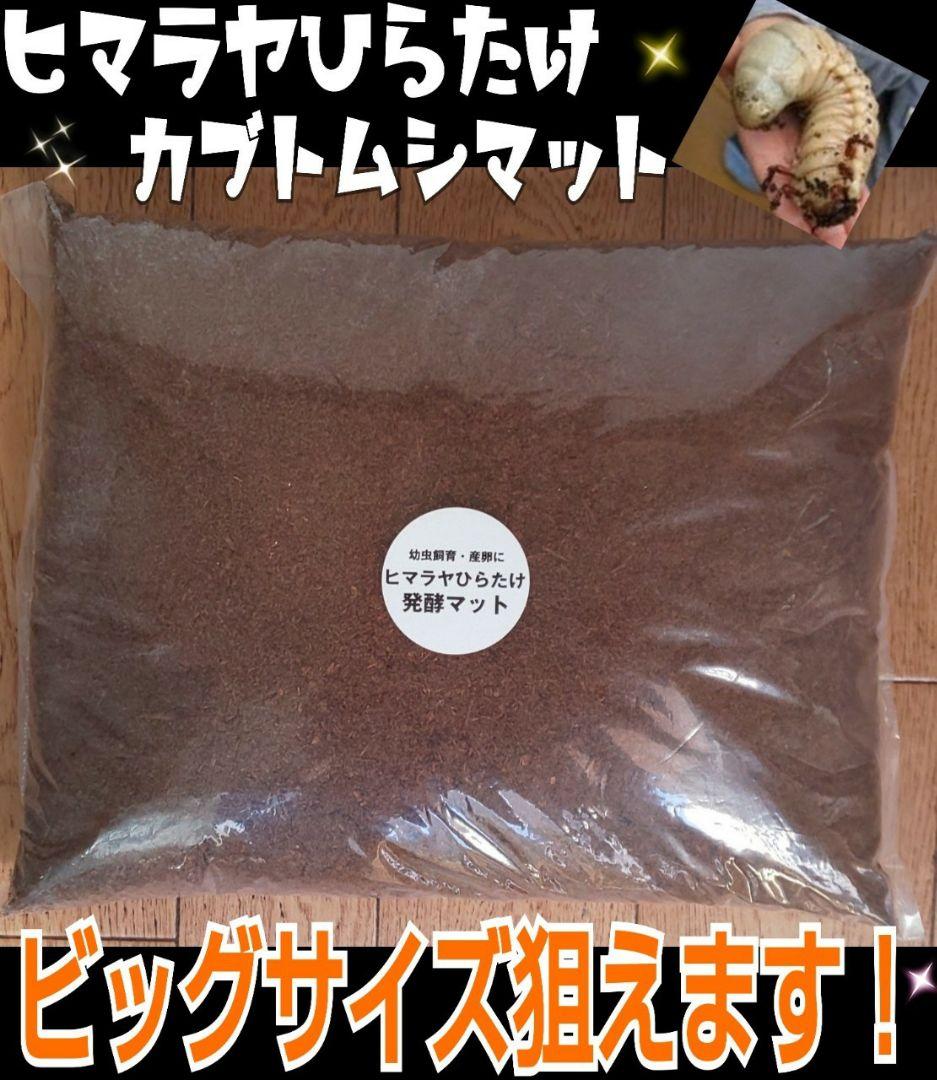 幼虫が丸々太ります！80リットル☆ヒマラヤひらたけ発酵カブトムシマット栄養価抜群